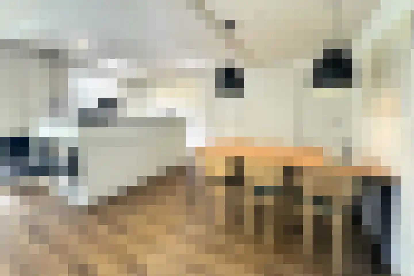 Lommerbergen 524 Reuver thumbnail 7