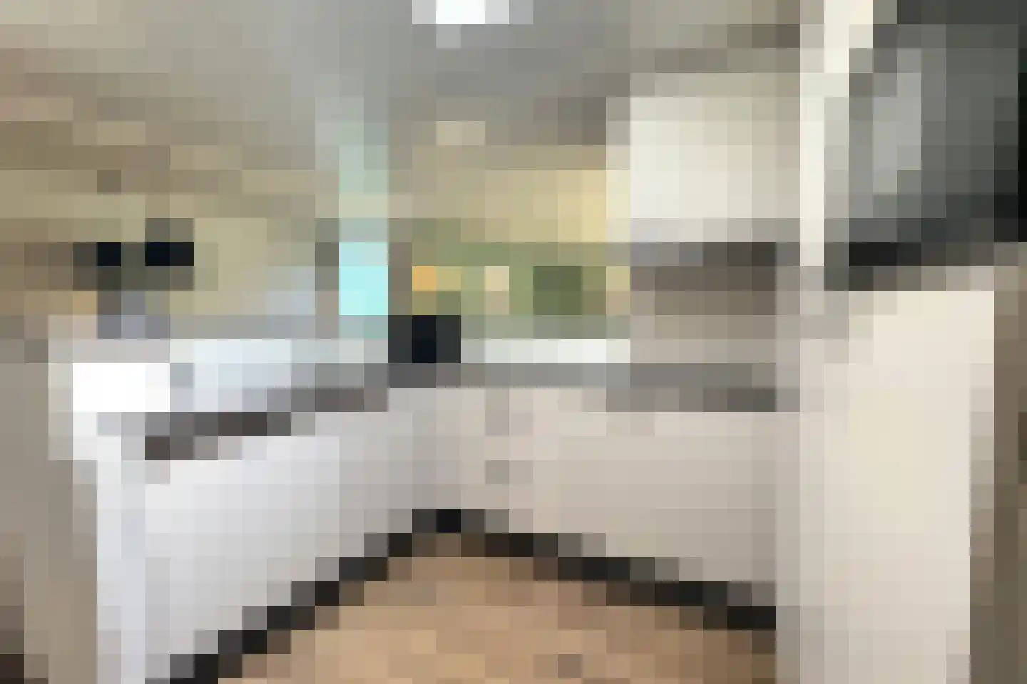 Lommerbergen 524 Reuver thumbnail 8