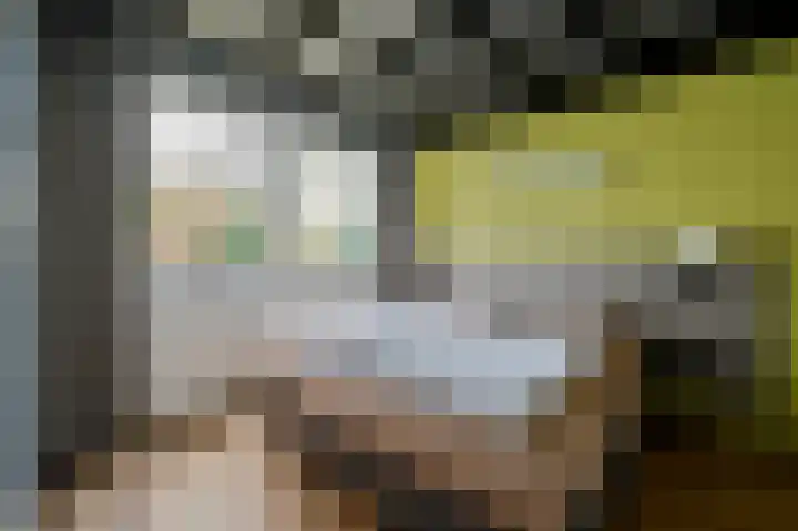 Lommerbergen 542 Reuver thumbnail 10