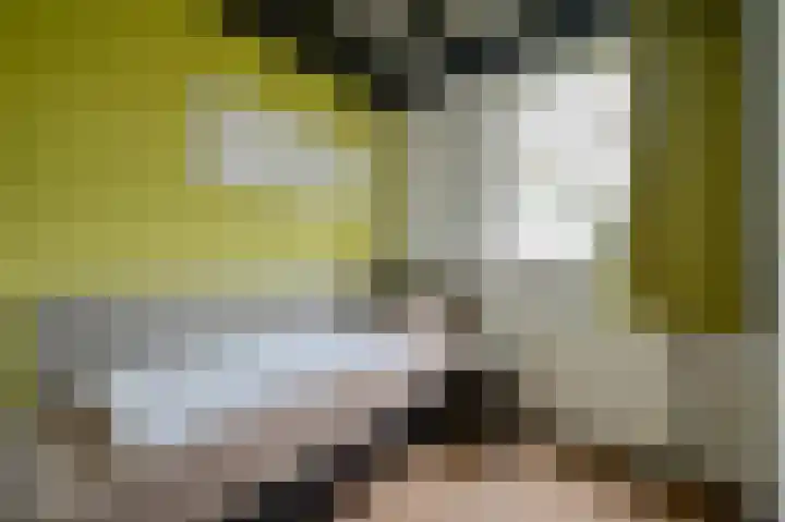 Lommerbergen 542 Reuver thumbnail 12