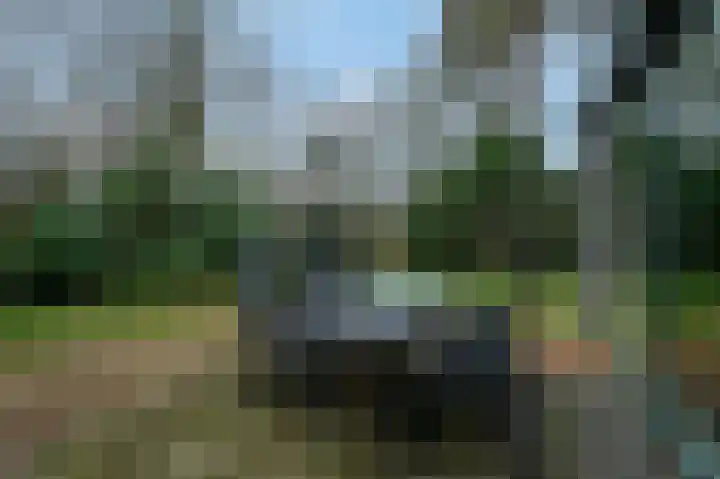 Lommerbergen 542 Reuver thumbnail 20