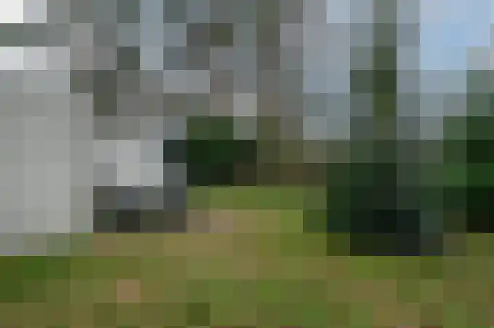 Lommerbergen 542 Reuver thumbnail 21