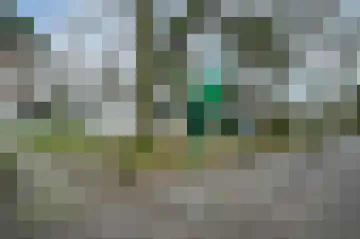 Lommerbergen 542 Reuver thumbnail 23