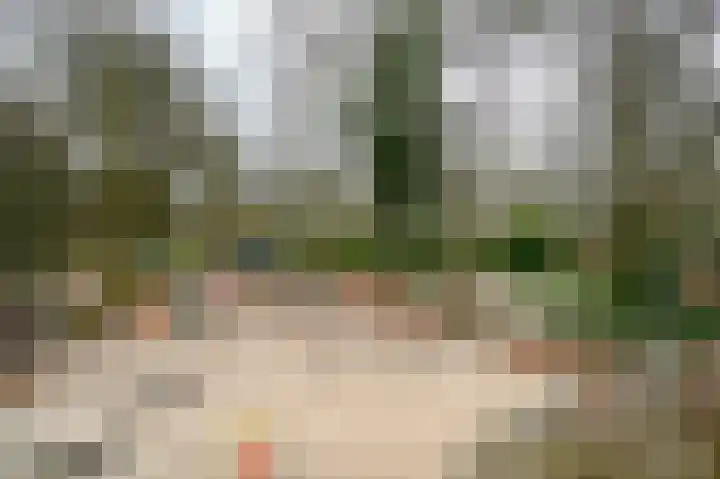 Lommerbergen 542 Reuver thumbnail 24
