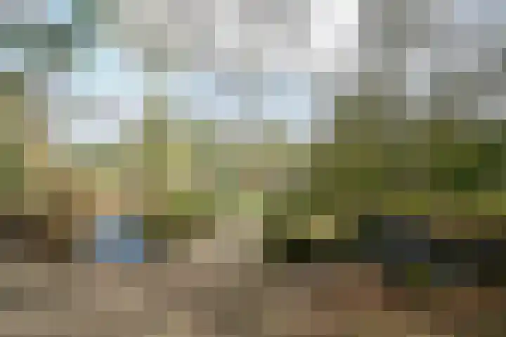 Lommerbergen 542 Reuver thumbnail 27