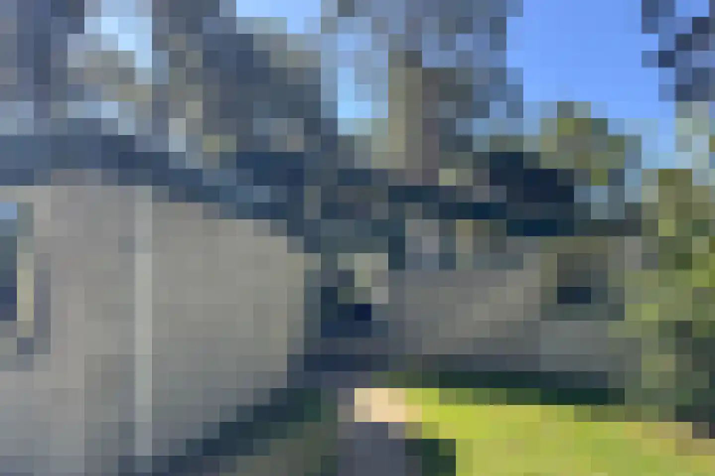 Lommerbergen 632 Reuver thumbnail 4