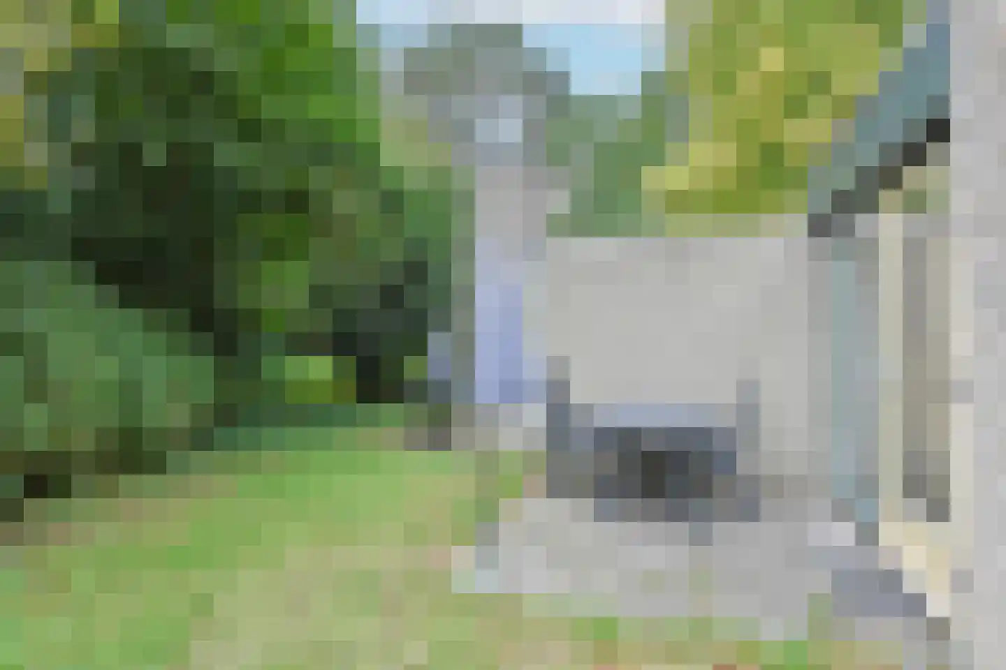 Lommerbergen 675 Reuver thumbnail 14