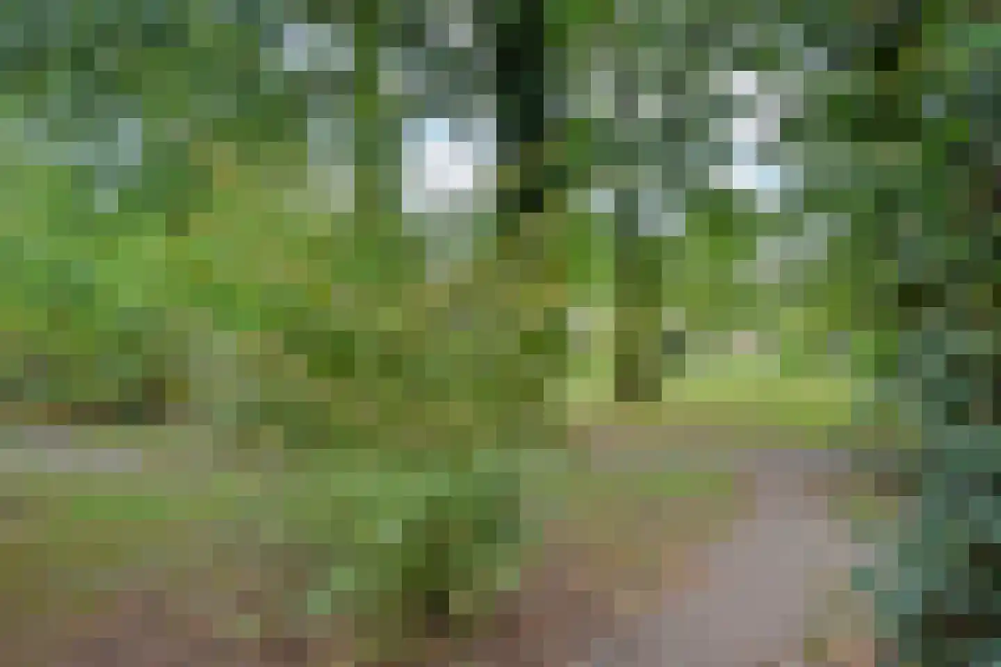 Lommerbergen 675 Reuver thumbnail 17