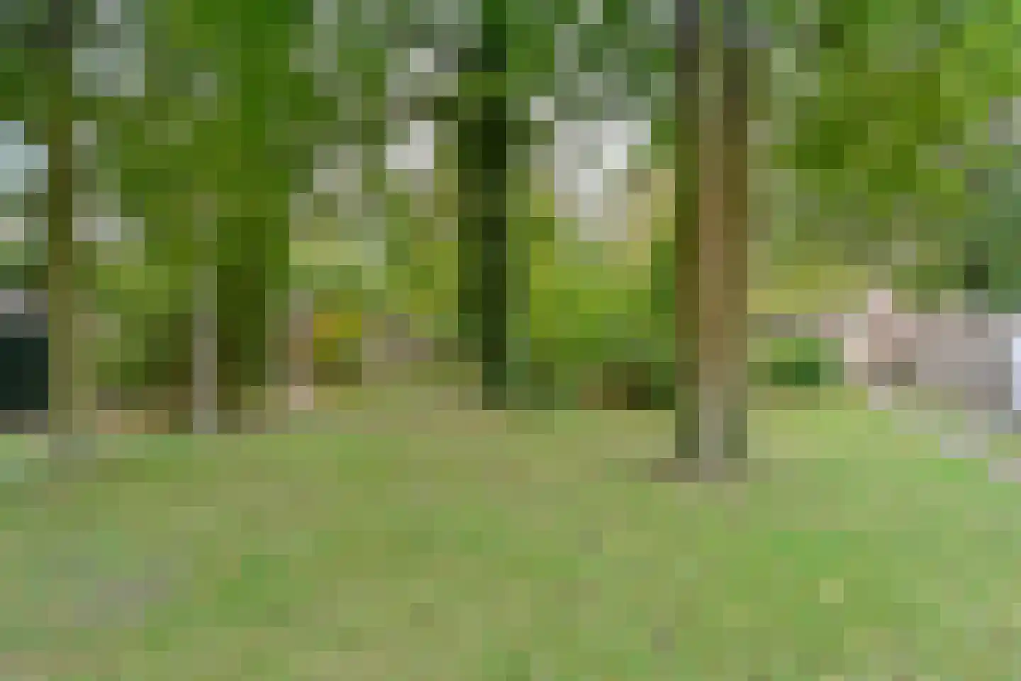 Lommerbergen 675 Reuver thumbnail 20