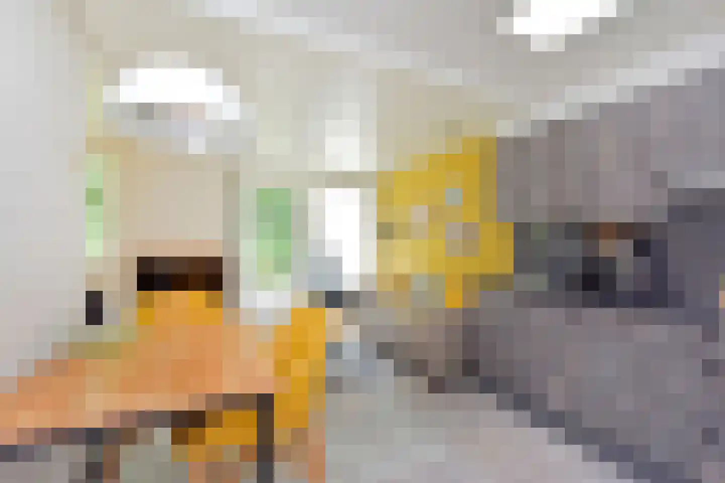 Lommerbergen 675 Reuver thumbnail 8