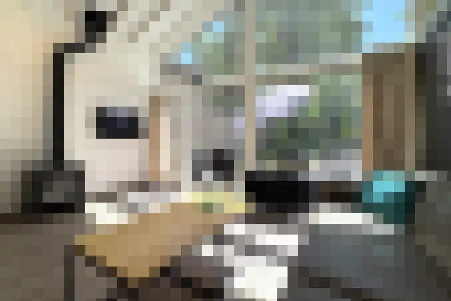 Lommerbergen 704 Reuver thumbnail 7