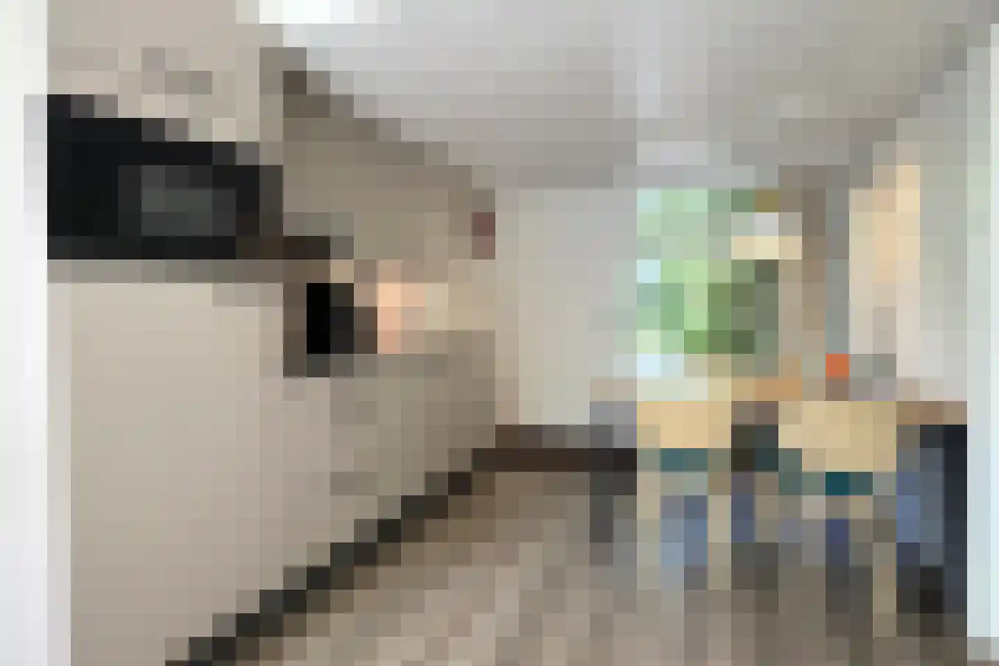 Lommerbergen 704 Reuver thumbnail 8