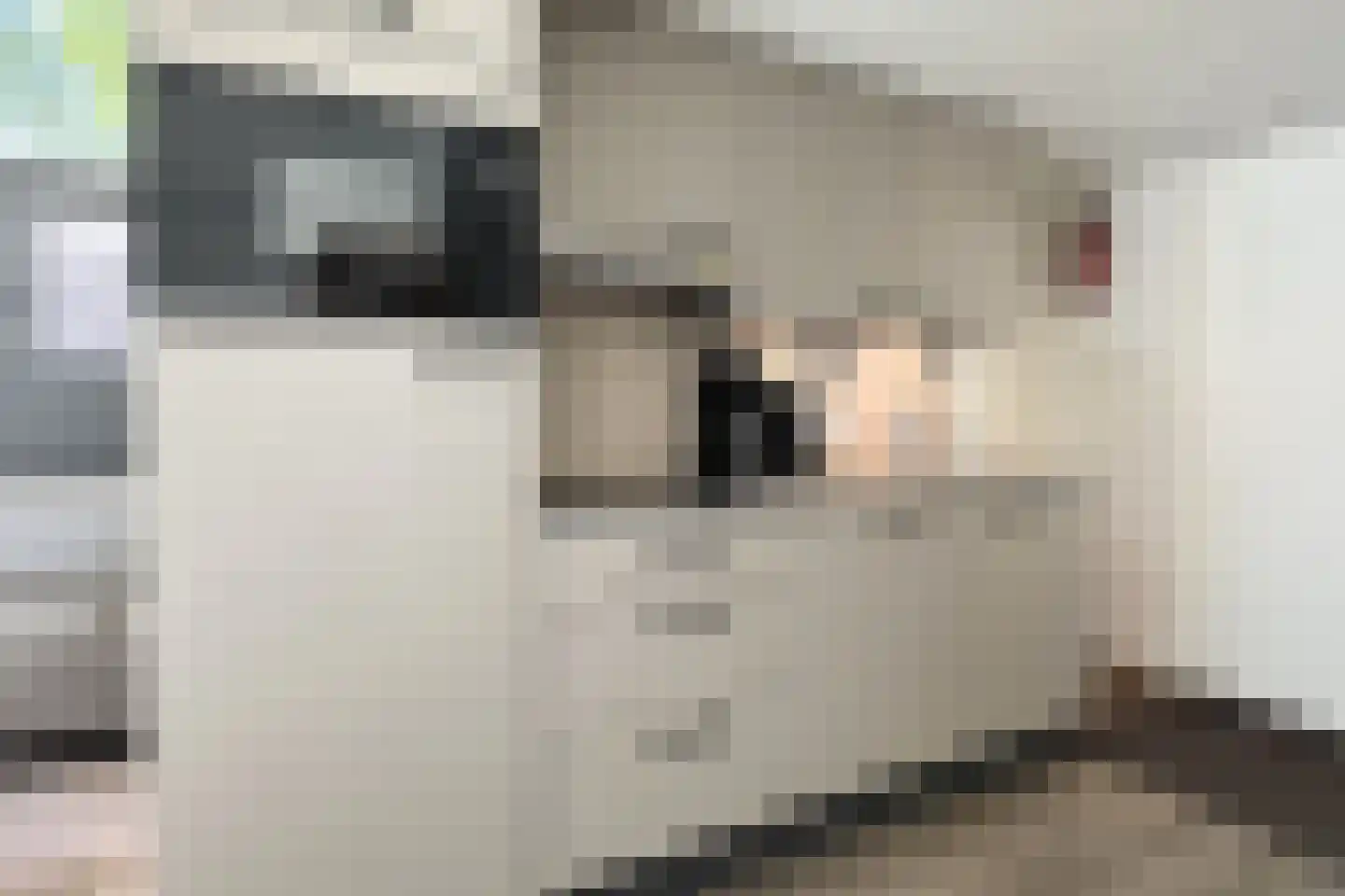 Lommerbergen 704 Reuver thumbnail 9