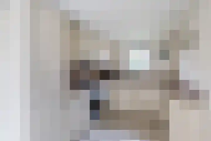 Lommerhof 24 Heerhugowaard thumbnail 12