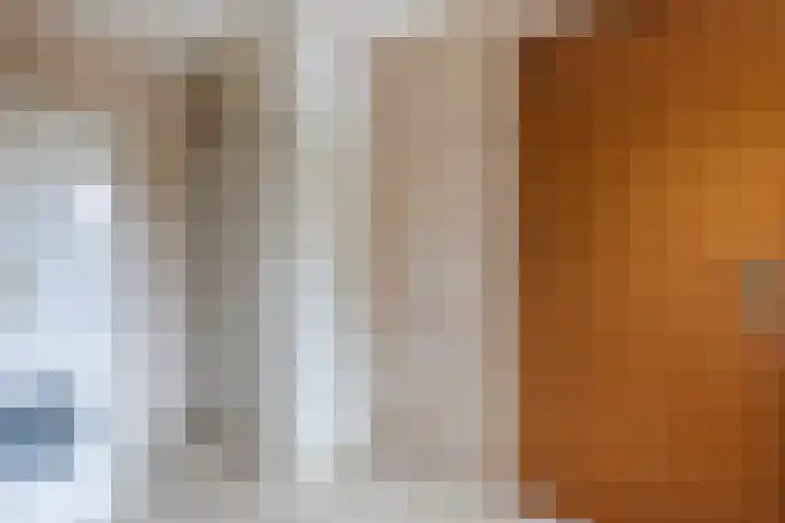 Lommerhof 24 Heerhugowaard thumbnail 15
