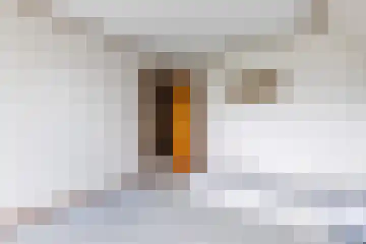 Lommerhof 24 Heerhugowaard thumbnail 33