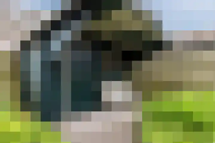 Lommerhof 24 Heerhugowaard thumbnail 44
