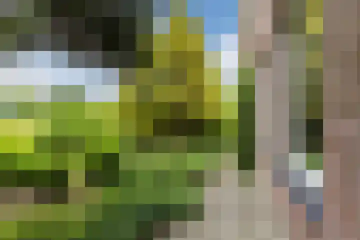 Lommerhof 24 Heerhugowaard thumbnail 47