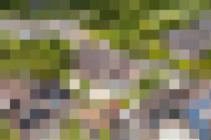 Lommerhof 24 Heerhugowaard thumbnail 55