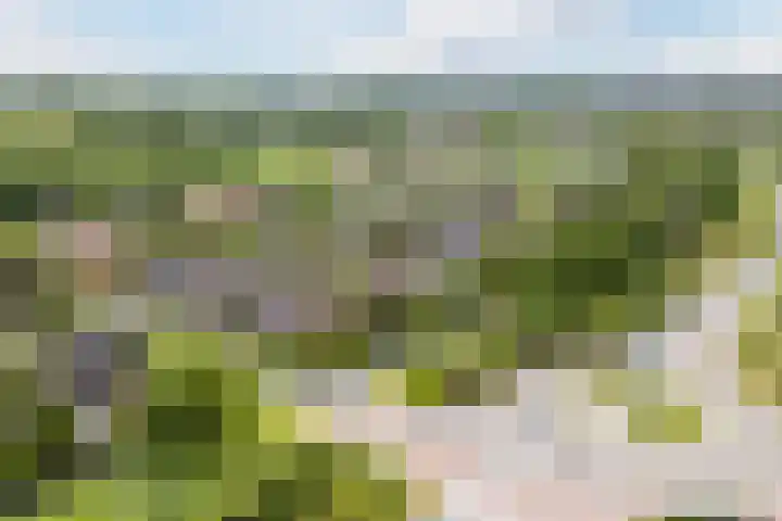 Lommerhof 24 Heerhugowaard thumbnail 56