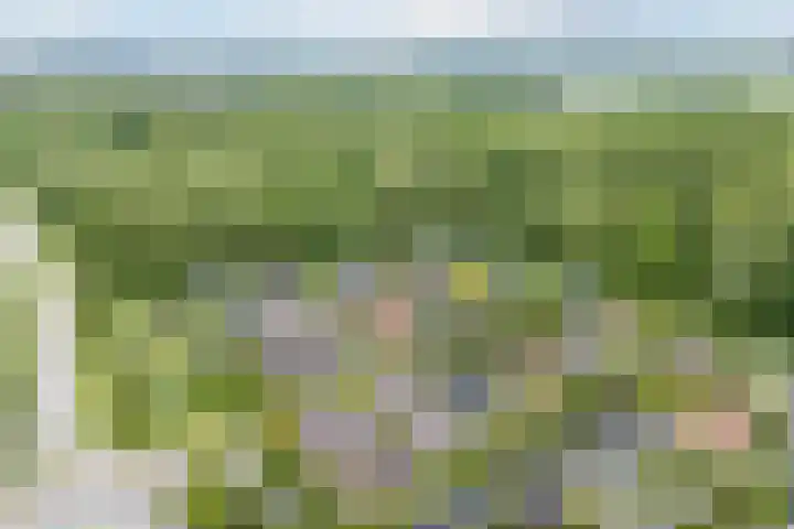 Lommerhof 24 Heerhugowaard thumbnail 57