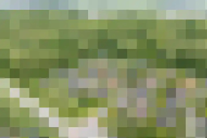 Lommerhof 24 Heerhugowaard thumbnail 58