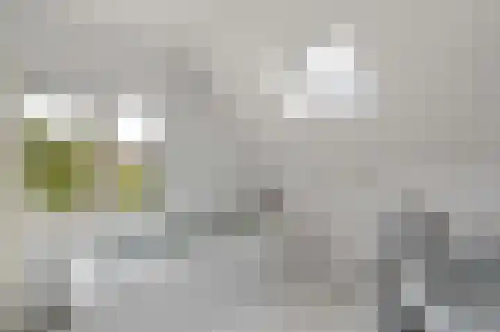 Lommerhof 30 Heerhugowaard thumbnail 27