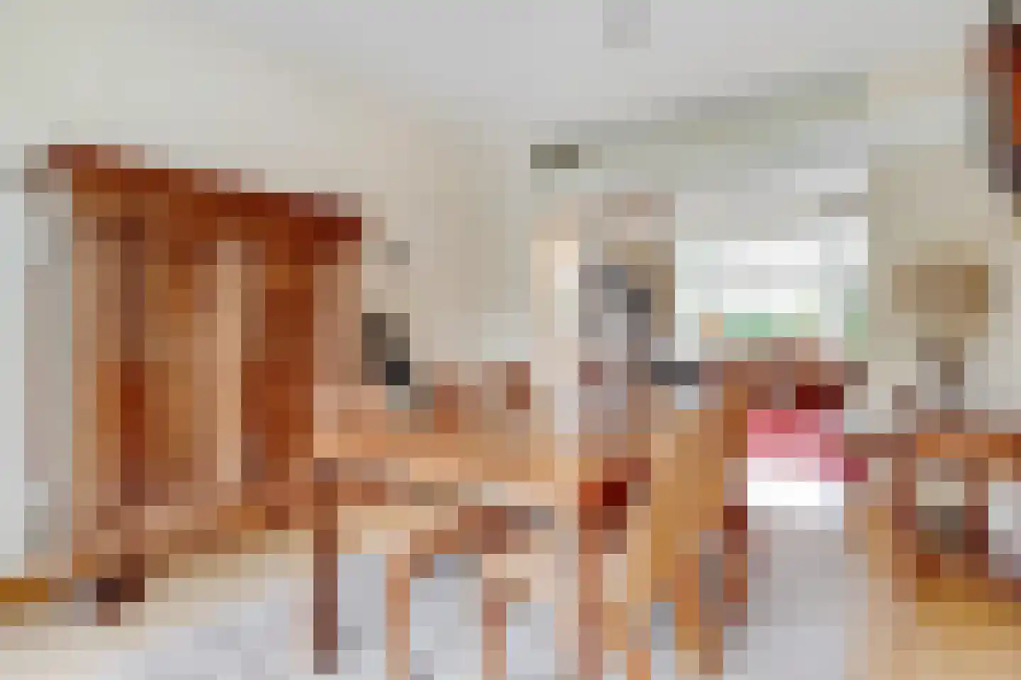 Lommerlust 40 Zeist thumbnail 12