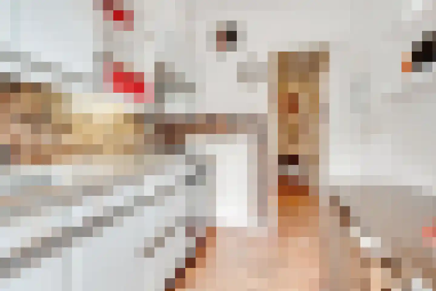 Lommerlust 40 Zeist thumbnail 15