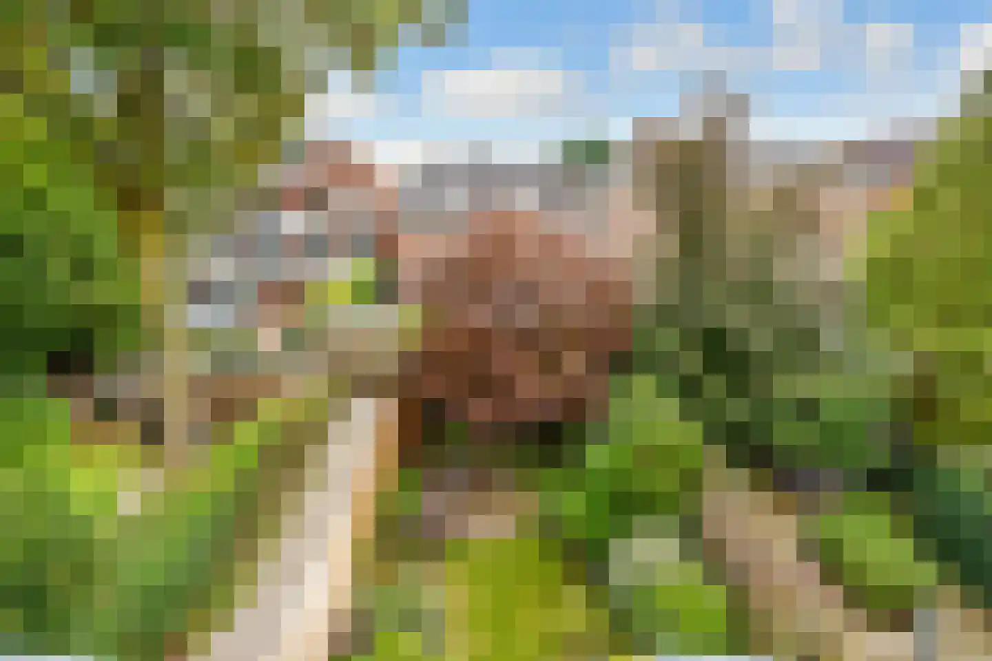 Lommerlust 40 Zeist thumbnail 22