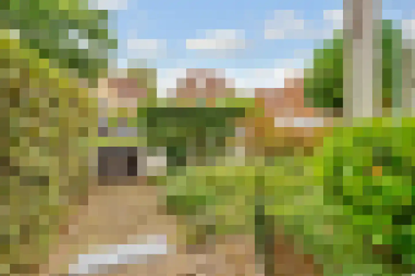 Lommerlust 40 Zeist thumbnail 35