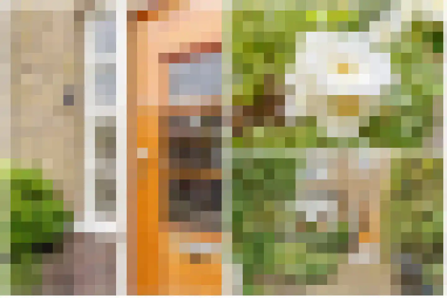 Lommerlust 40 Zeist thumbnail 37