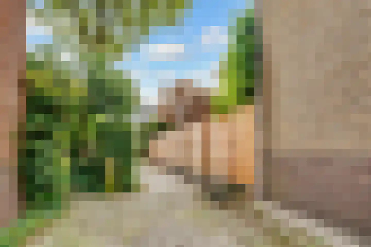 Lommerlust 40 Zeist thumbnail 39