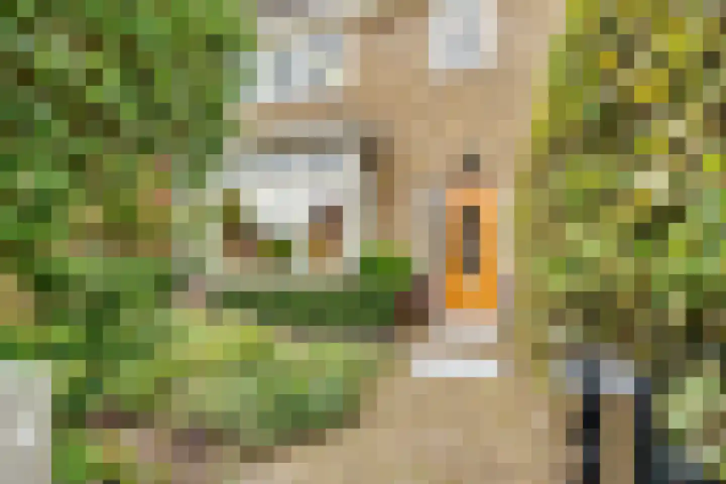 Lommerlust 40 Zeist thumbnail 4