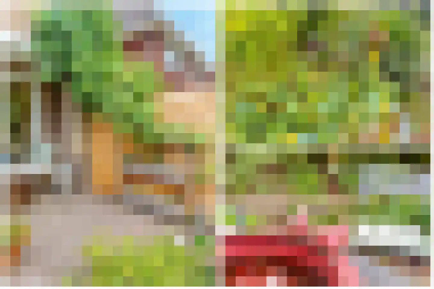 Lommerlust 40 Zeist thumbnail 41
