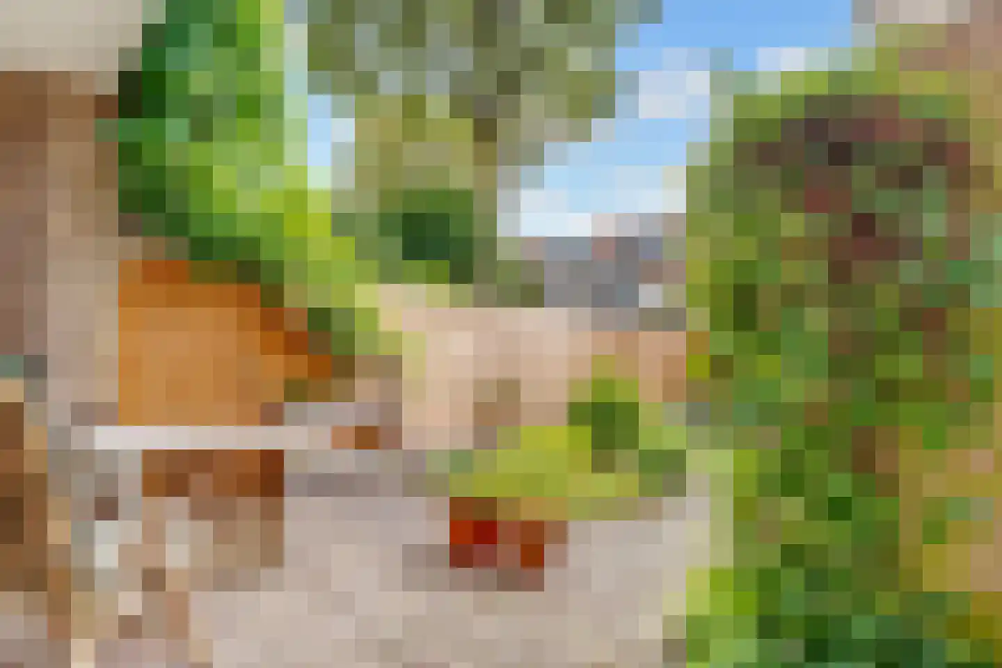 Lommerlust 40 Zeist thumbnail 42