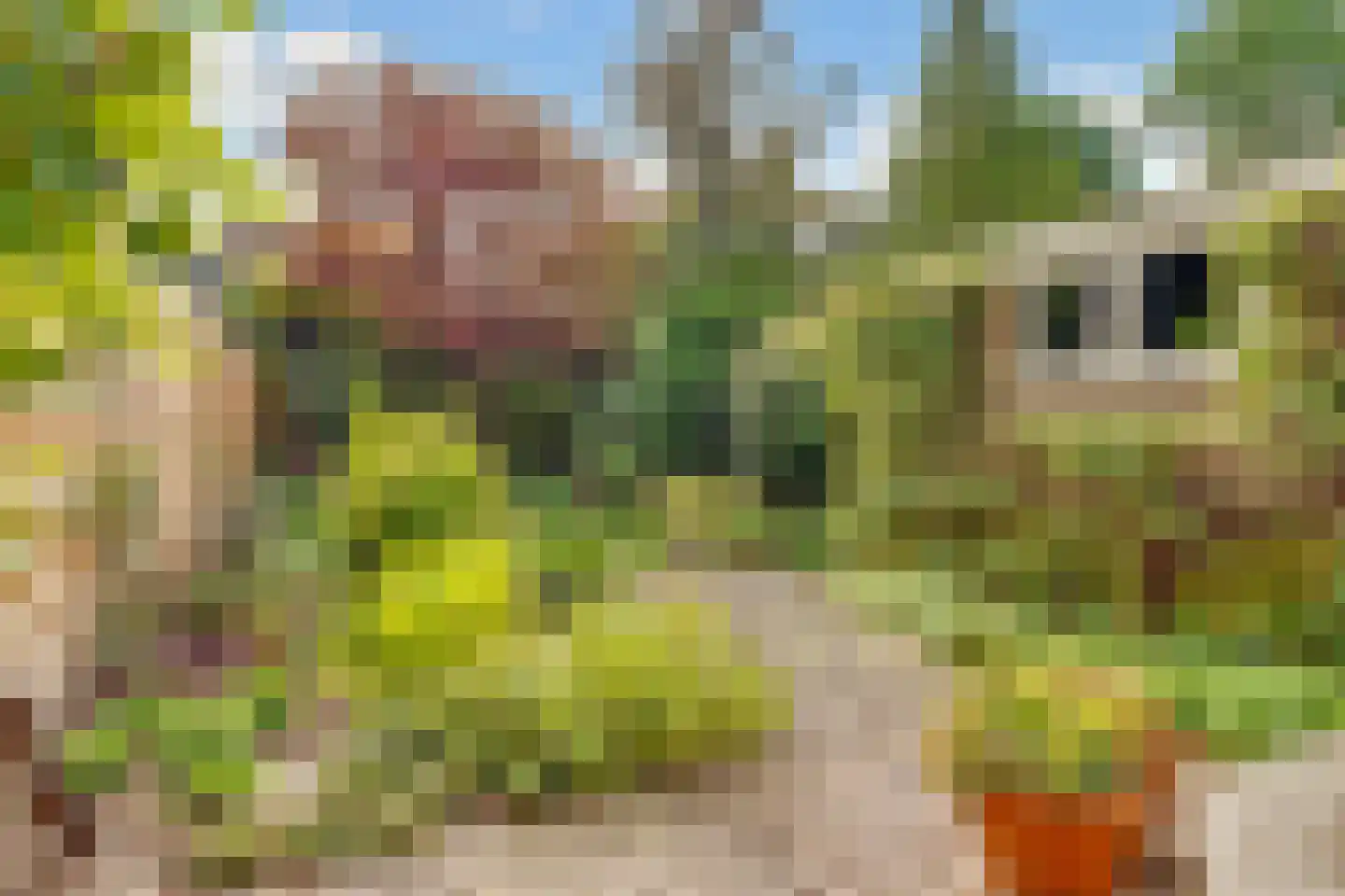 Lommerlust 40 Zeist thumbnail 44
