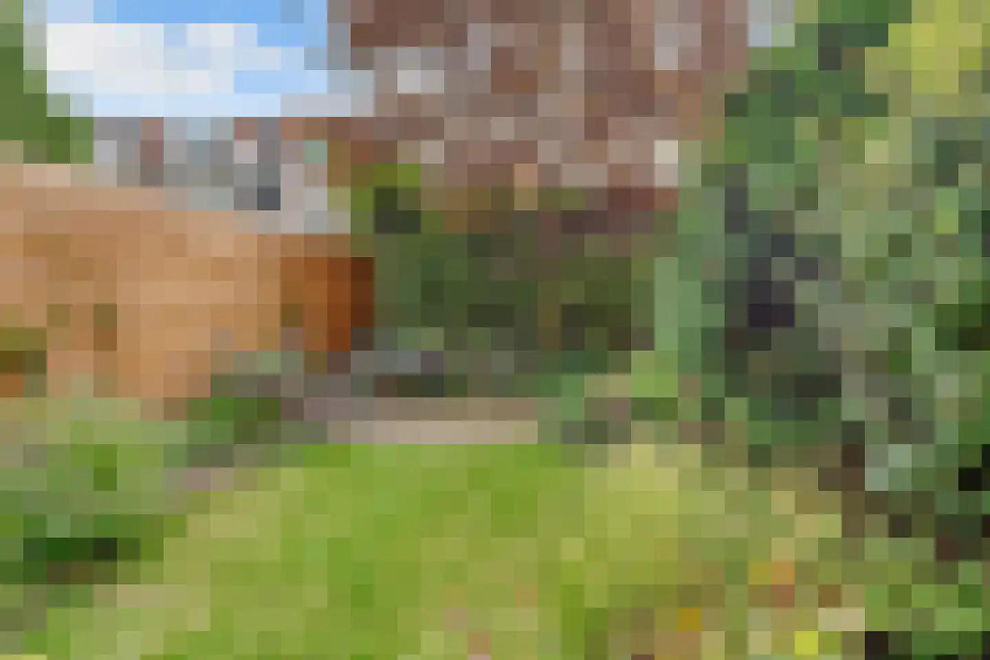 Lommerlust 40 Zeist thumbnail 45