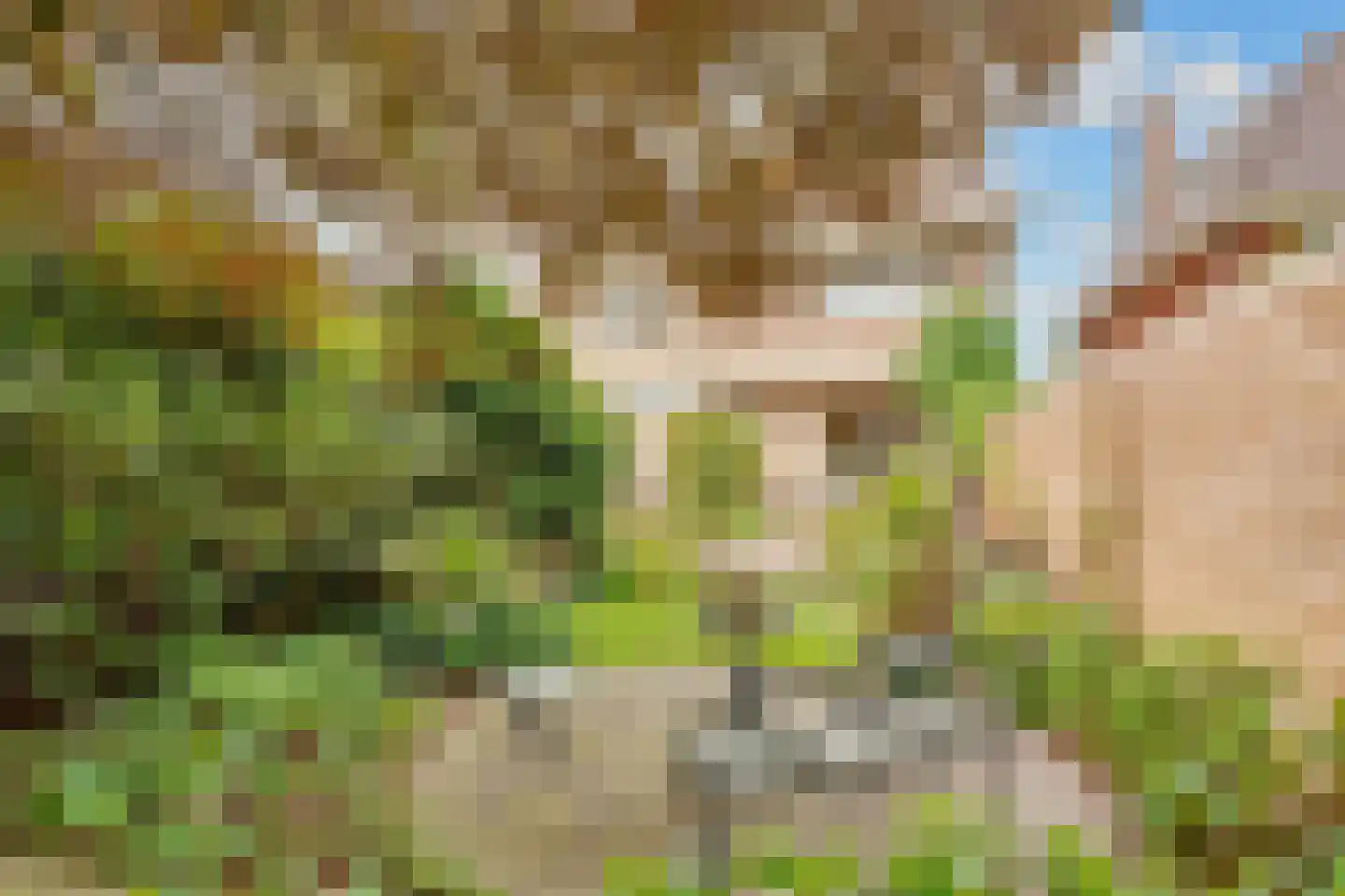 Lommerlust 40 Zeist thumbnail 47