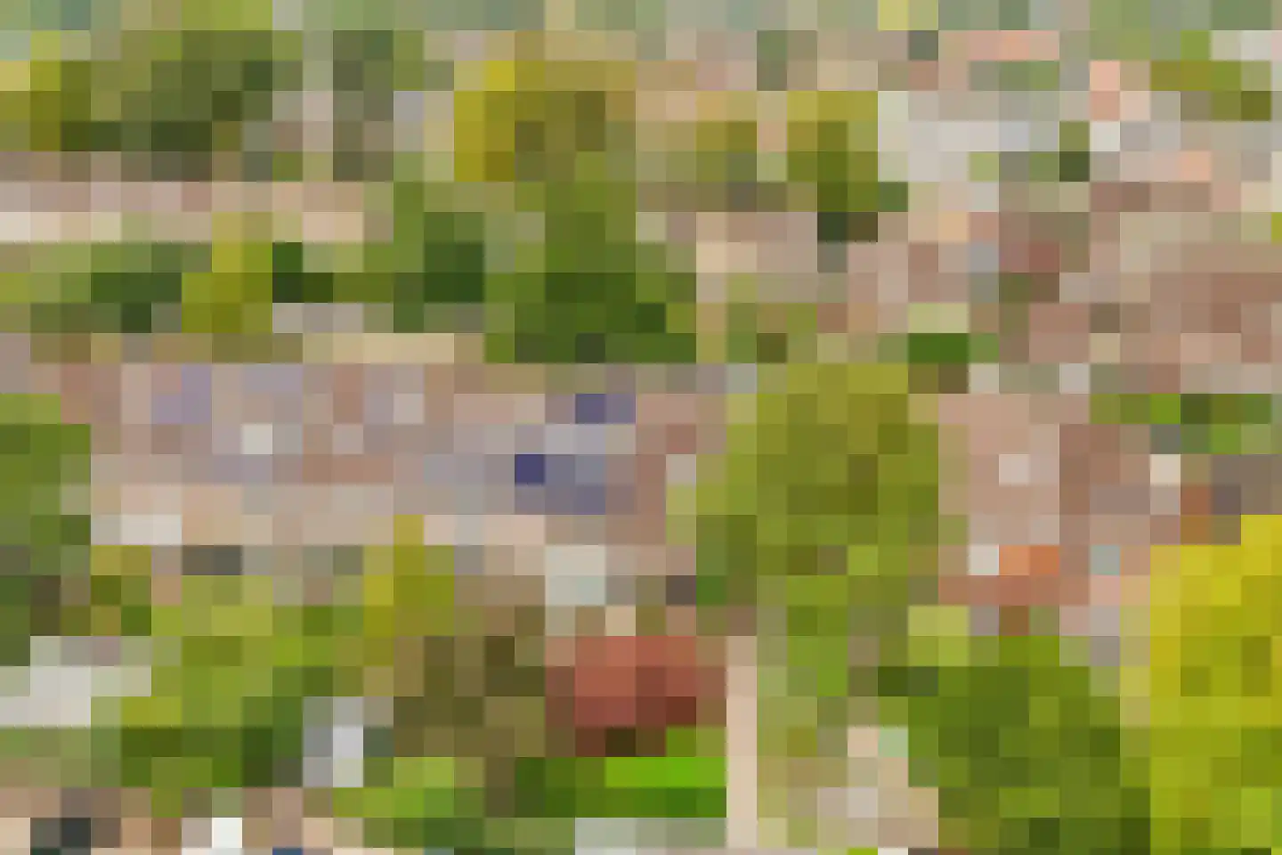 Lommerlust 40 Zeist thumbnail 50