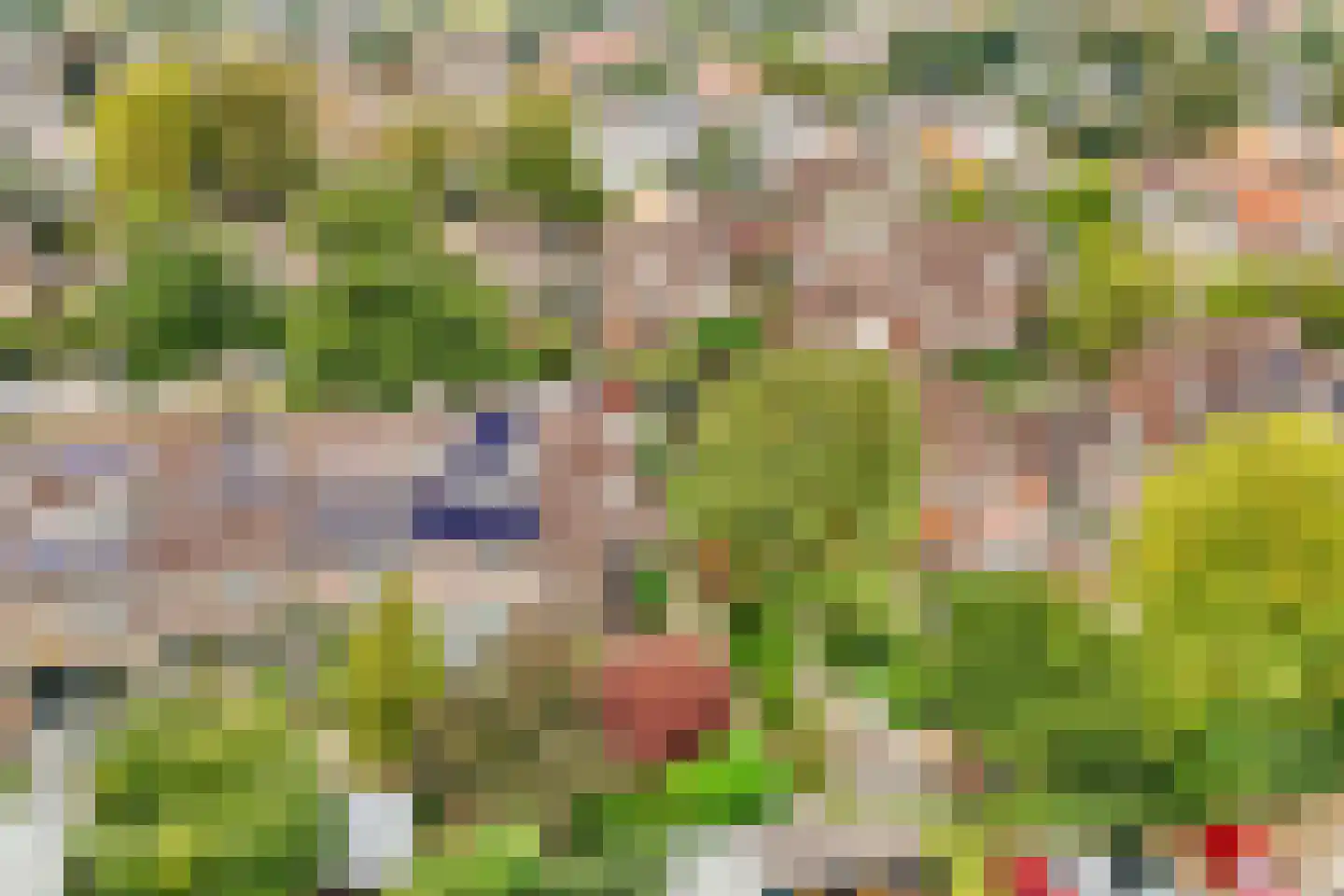 Lommerlust 40 Zeist thumbnail 51