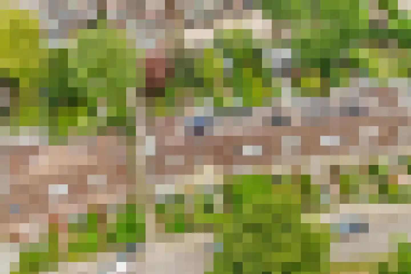 Lommerlust 40 Zeist thumbnail 53