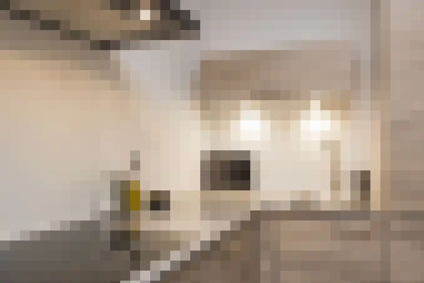 Lommerlustlaan 29 Haarlem thumbnail 17