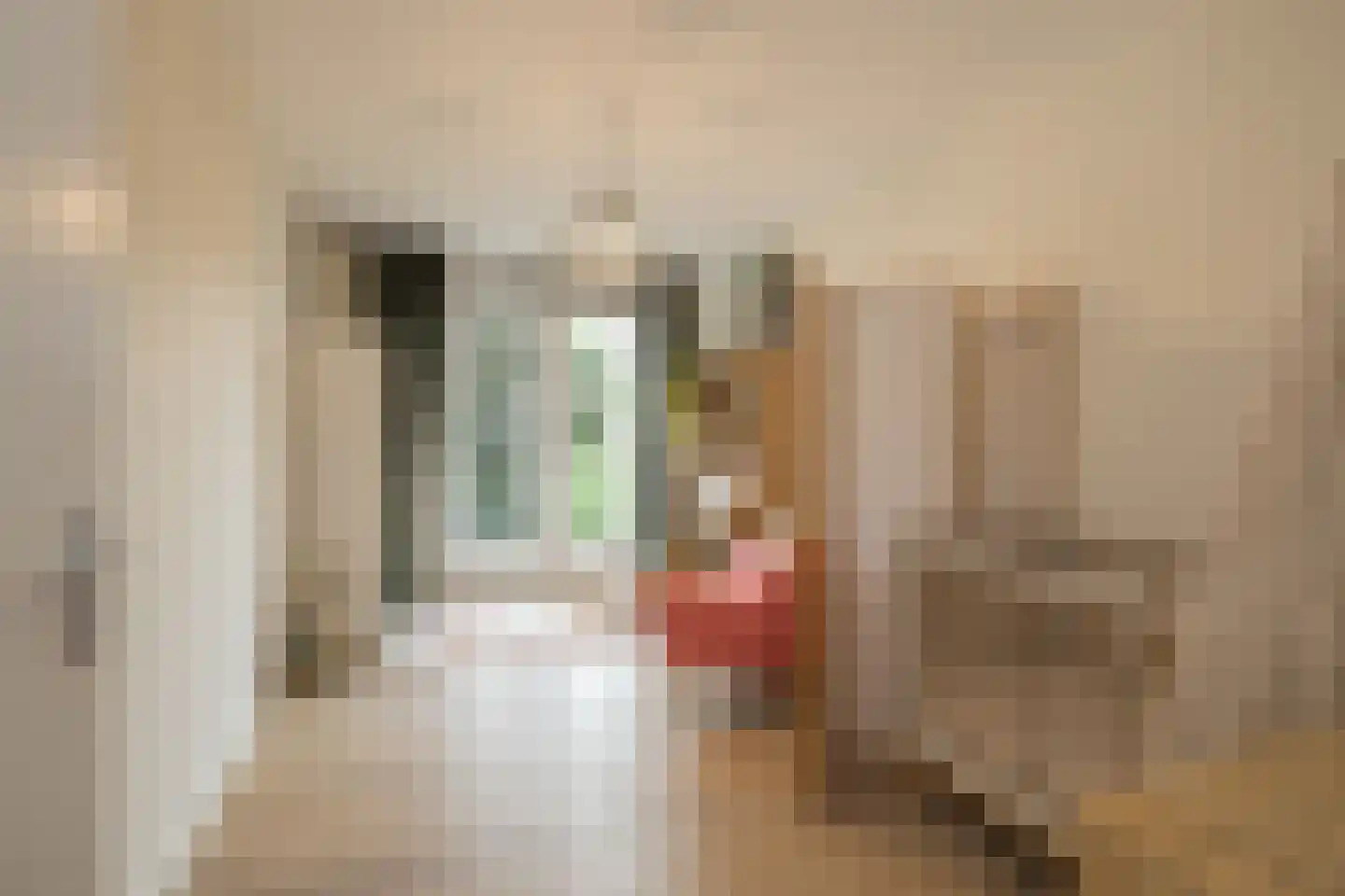 Lommerlustlaan 29 Haarlem thumbnail 20