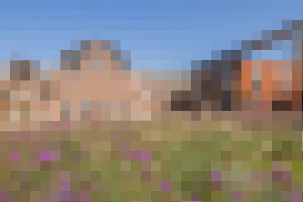Lommerlustlaan 29 Haarlem thumbnail 49