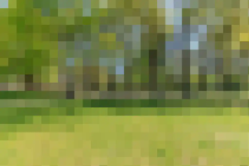 Lommerlustlaan 29 Haarlem thumbnail 53