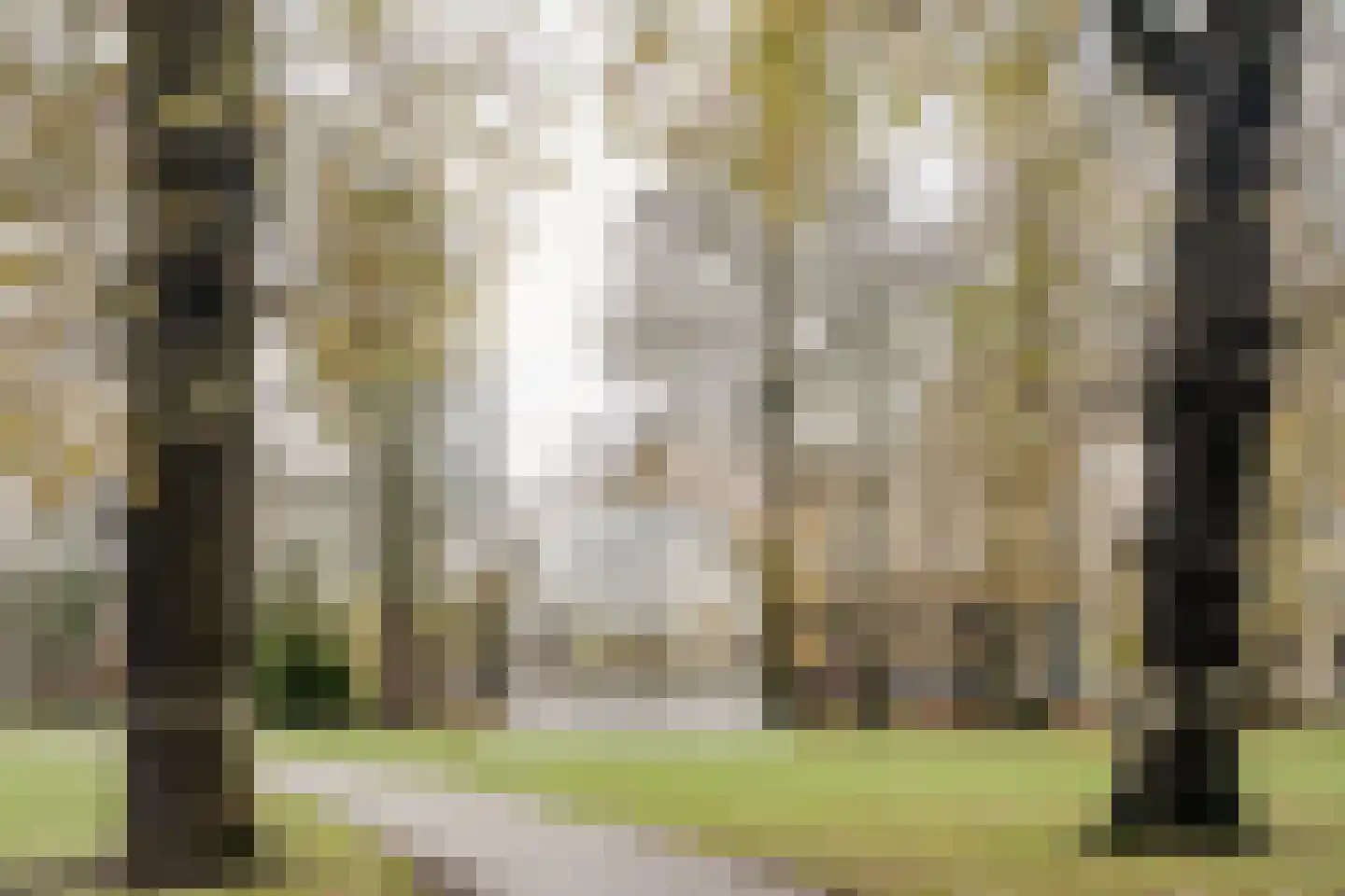 Lommerlustlaan 31 Haarlem thumbnail 16
