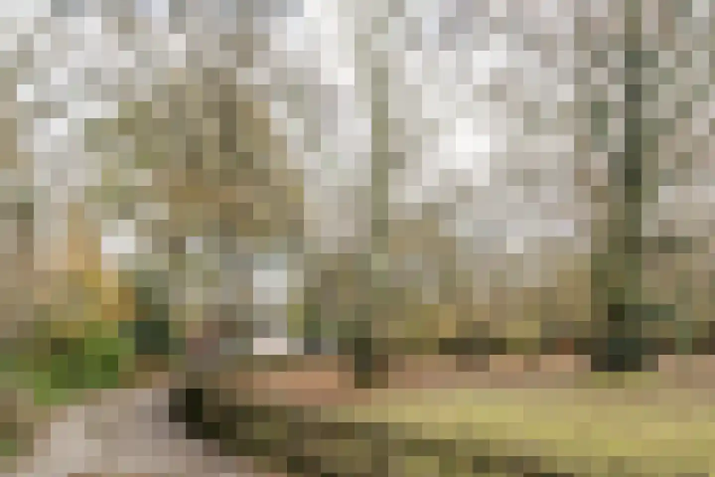 Lommerlustlaan 31 Haarlem thumbnail 17