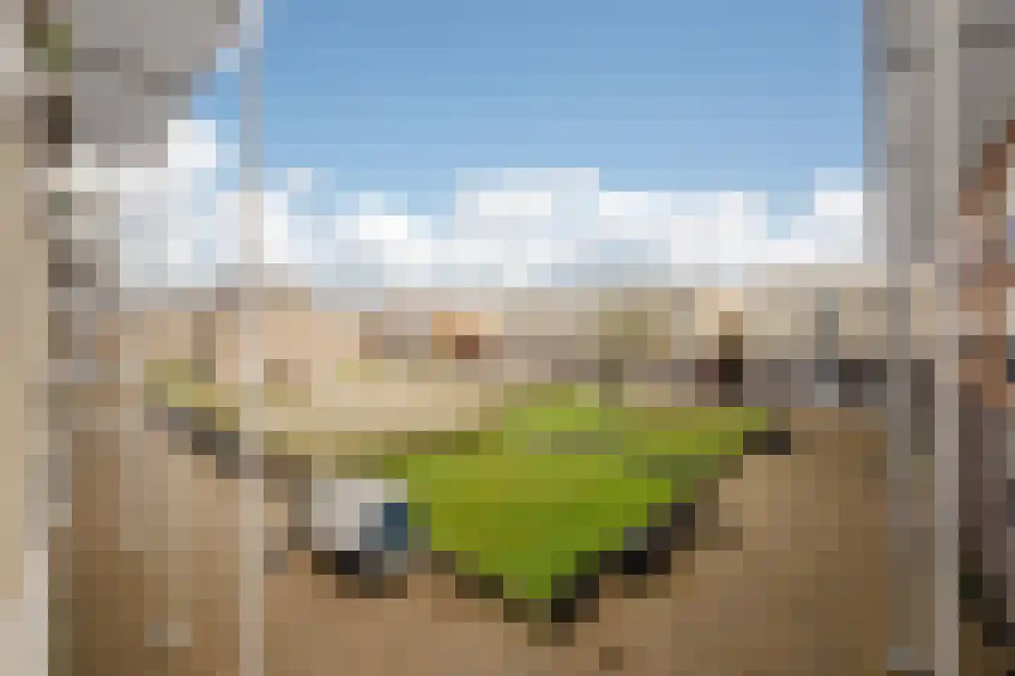 Lommerlustlaan 31 Haarlem thumbnail 8