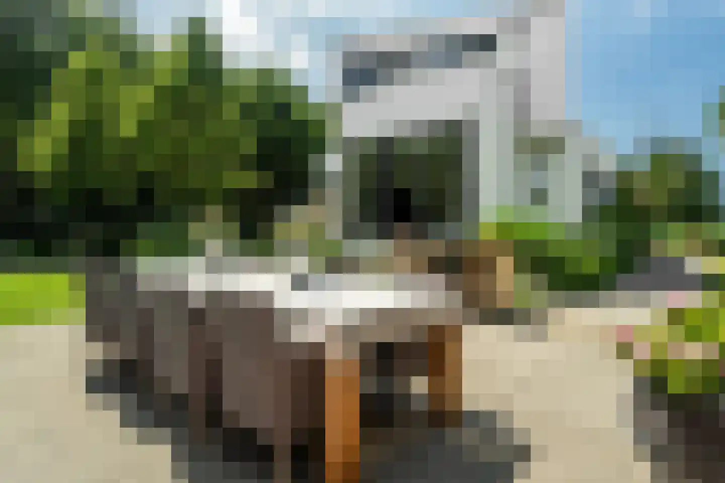 Lommerrijk 11 Lelystad thumbnail 12